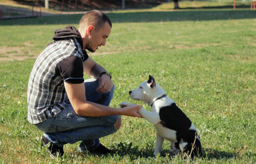 Man and dog